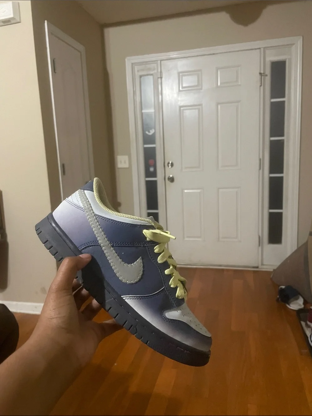 Nike low top